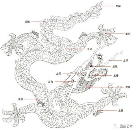 龍爪畫法|李曉明老師工筆龍畫畫法步驟示範，含詳細文字解析！。